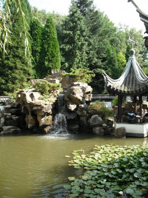 DSCF0122.JPG