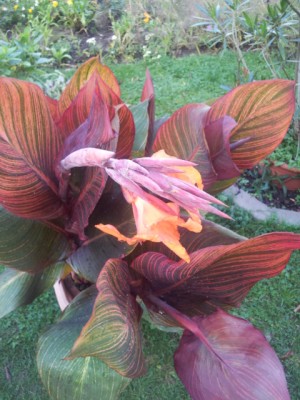 20121007_113242.jpg