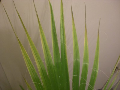 CIMG5035.jpg