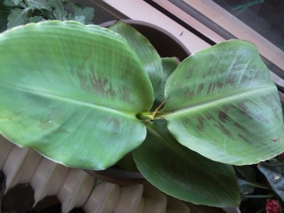 2012-10-14 15.02.45.jpg