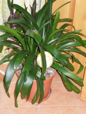 Photo16.jpg