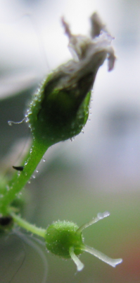 Rätsel etwas größer.png