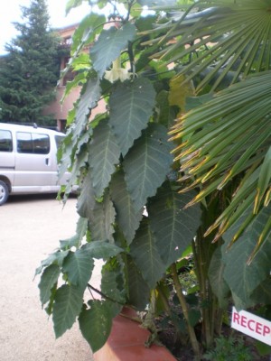 PICT0494_020.jpg