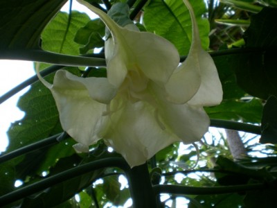 PICT0493_020.jpg