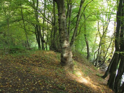 Herbst 11.jpg