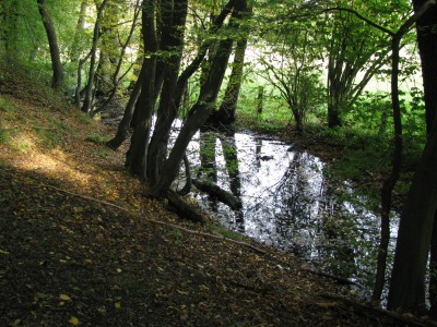 Herbst 10.jpg