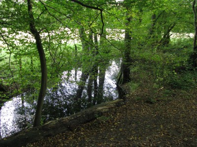 Herbst 9.jpg