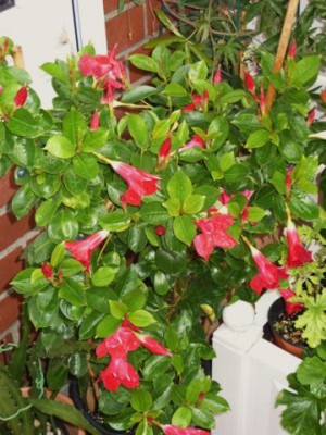 Photo8.jpg