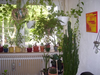 schööön 021.jpg