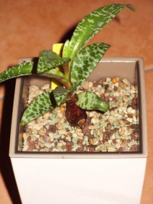 Photo5.jpg