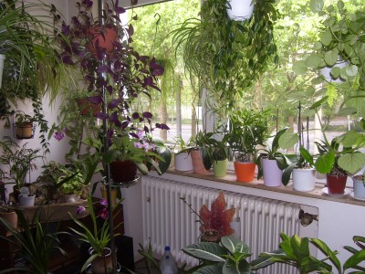 schööön 019.jpg