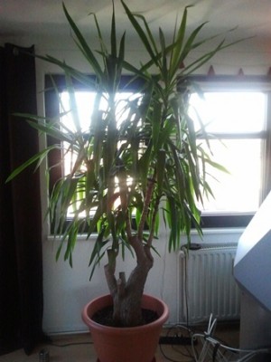 2012-10-18 15.43.58.jpg