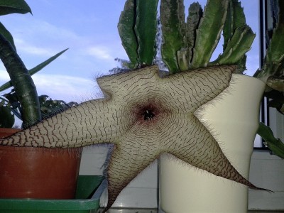 20121020_175430.jpg
