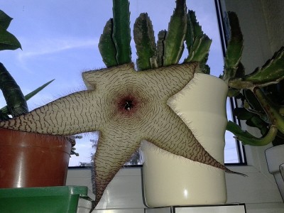 20121020_175423.jpg
