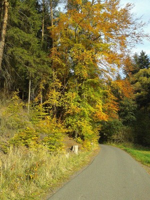 20121020_155452.jpg