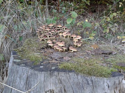20121020_143935.jpg