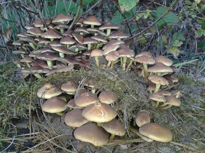 20121020_143928.jpg
