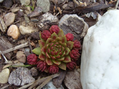 S1030109.JPG