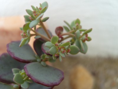 S1030096.JPG