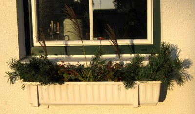 Herbstkasten_7595.jpg