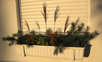 Herbstkasten_7593.jpg