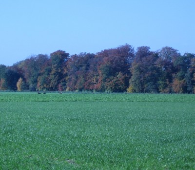 green10 048.jpg