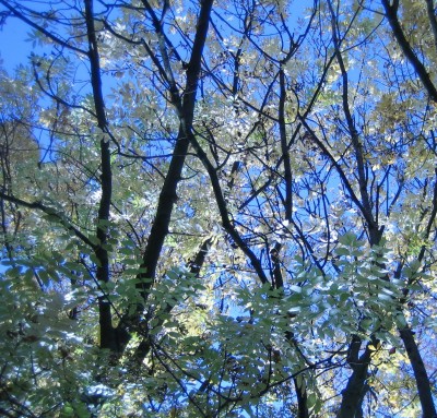 green10 042.jpg
