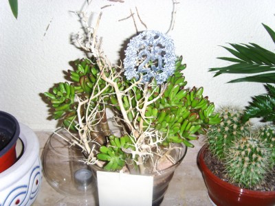 PIC_0890.JPG