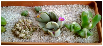 20121017_095736.jpg
