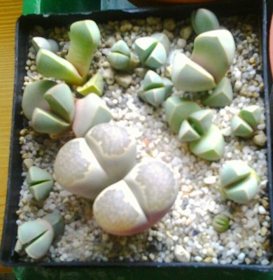 20121017_095552.jpg