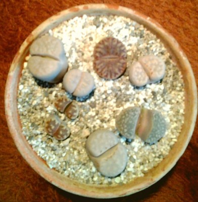 20121023_103944.jpg
