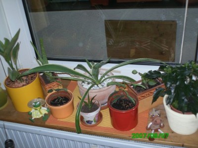 Urlaub 09.2007 048.jpg