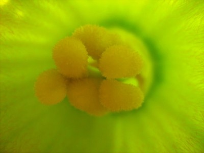 IMG_0042.JPG