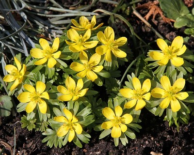 frühlingvormittag 565.jpg