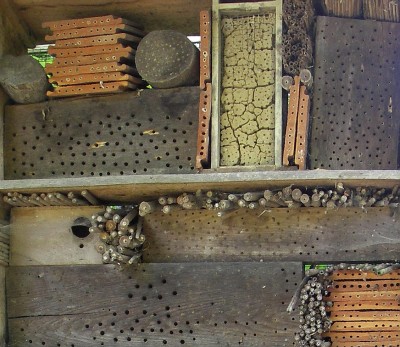 12.08.2007 2-3.stock.jpg