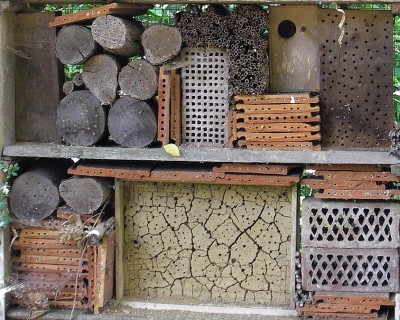 12.08.2007 erdgeschoss.jpg