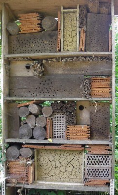 12.08.2007 hotel.jpg