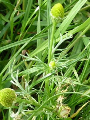 20120528 009 - Kopie (640x480).jpg