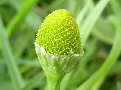 20120528 007 - Kopie (640x480).jpg