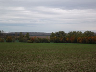 Bunter Herbst (6).jpg