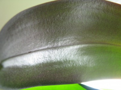 Phlops lila Blattunterseite.jpg