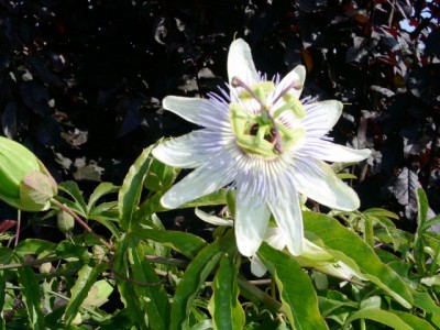 PICT0280.JPG