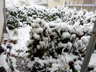 Sonntag-morgen.JPG