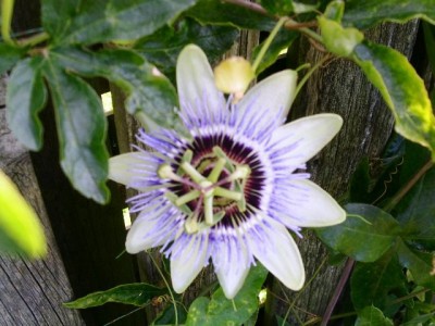 PICT0277.JPG