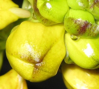 Oktoberrätsel größer_7660.jpg