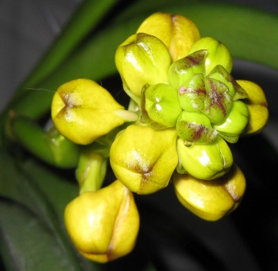 Oktoberrätsel groß_7660.jpg