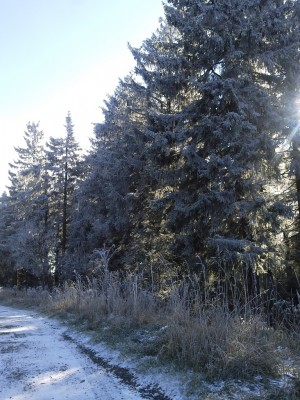 2012-10-28 12.49.00.jpg