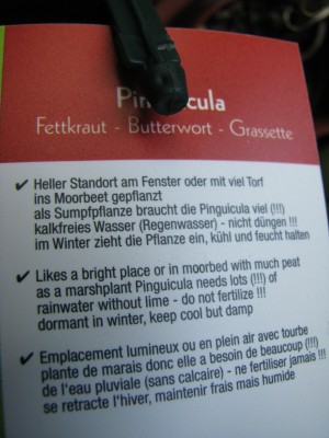 Pingu Schild 2.jpg