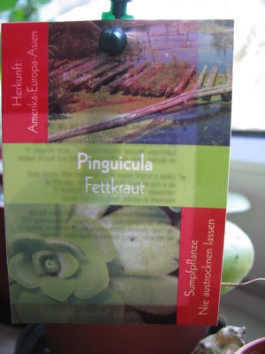 Pingu Schild.jpg