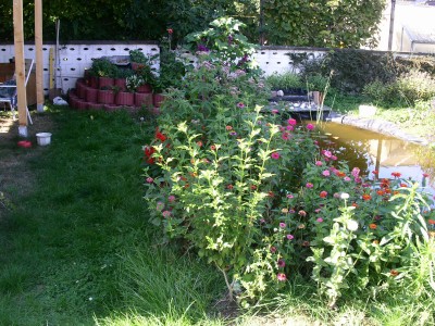 PICT0296.JPG